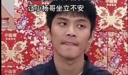 辛巴爆料三只羊事件视频在线观看,视频曝光，真相大白！